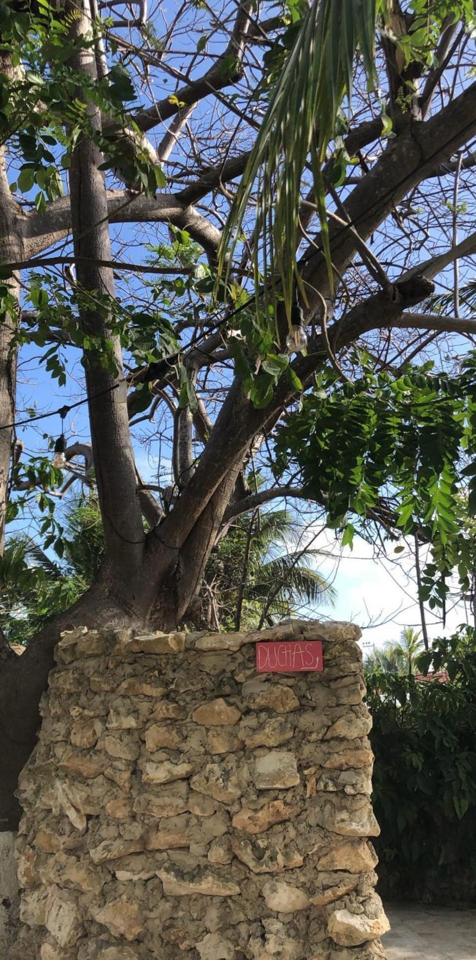 Casona La Carolina Villa San Andrés Екстериор снимка
