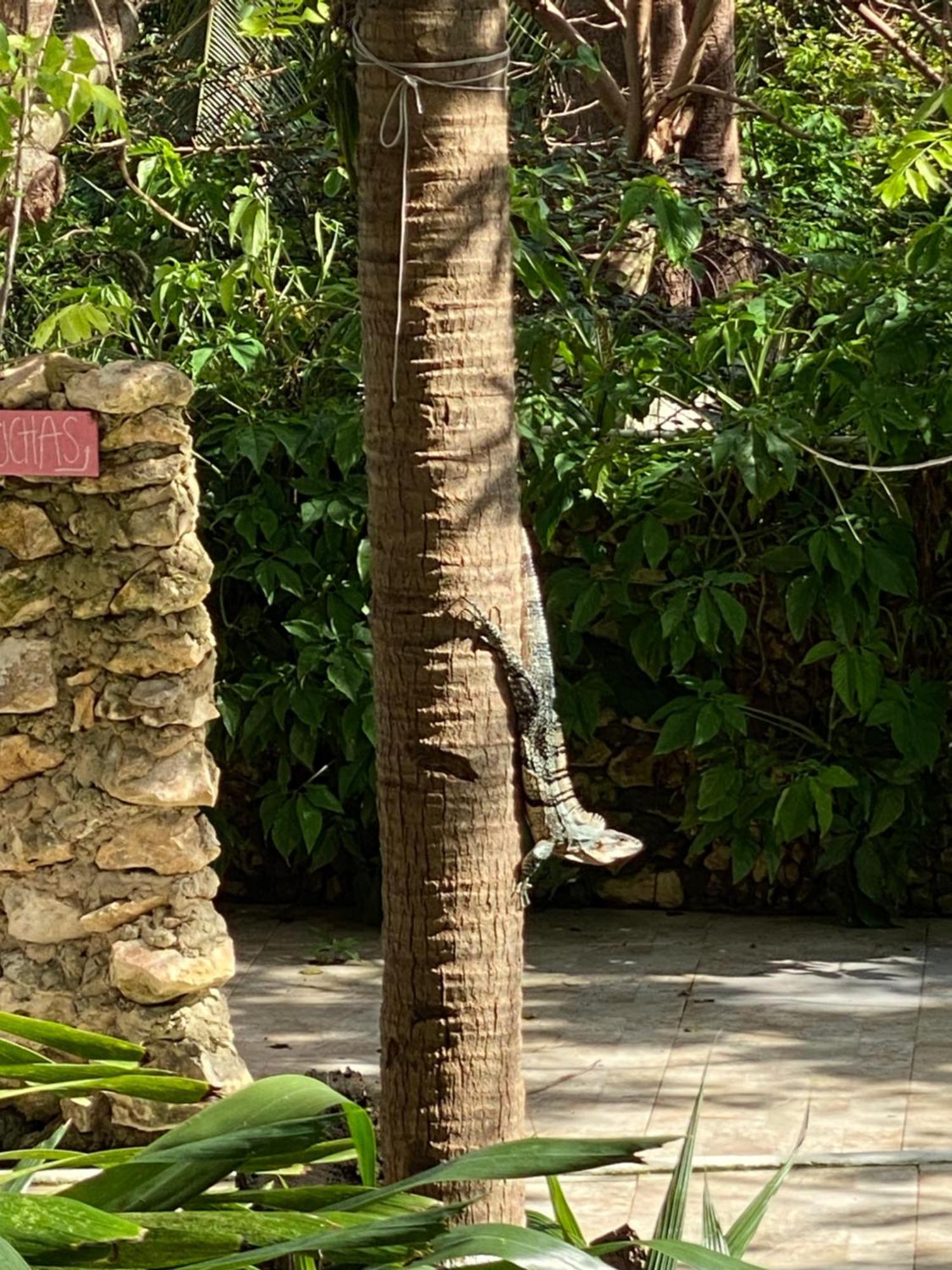 Casona La Carolina Villa San Andrés Екстериор снимка